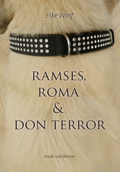 Cover von Ramses, Roma und Don Terror