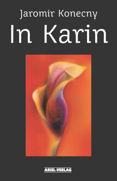 Cover von In Karin