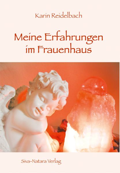 Cover von Meine Erfahrungen im Frauenhaus