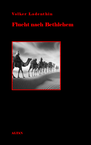 Cover von Flucht nach Bethlehem