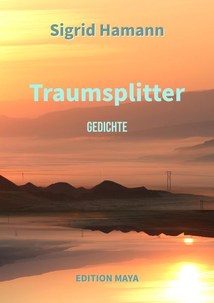 Cover von TRAUMSPLITTER