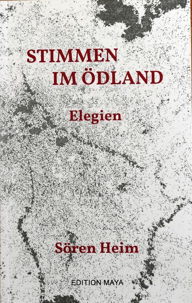 Cover von Stimmen im Ödland