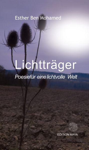 Cover von Lichtträger