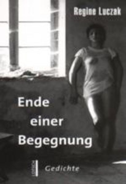 Cover von Ende einer Begegnung