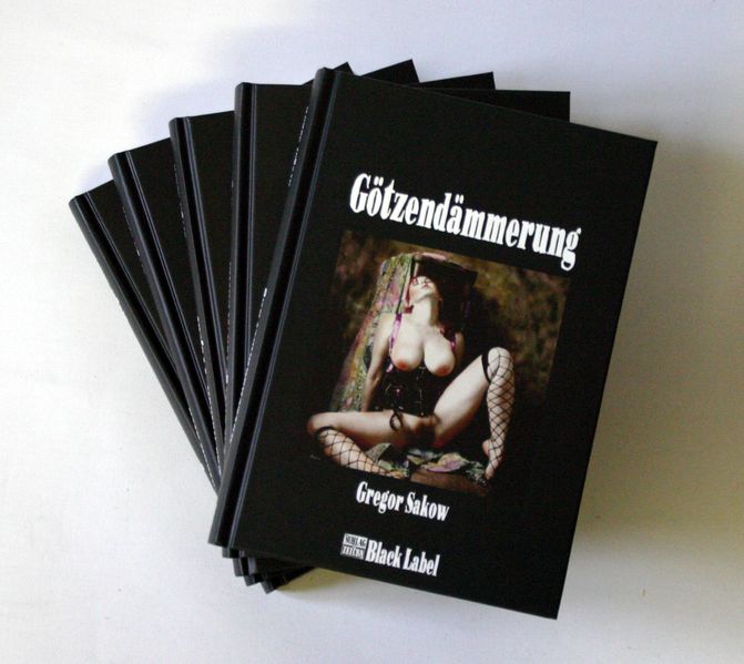 Cover von Das Gregor Sakow Bundle