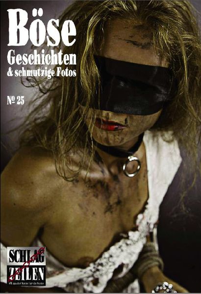 Cover von Böse Geschichten 25