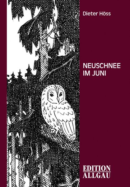 Cover von Neuschnee im Juni