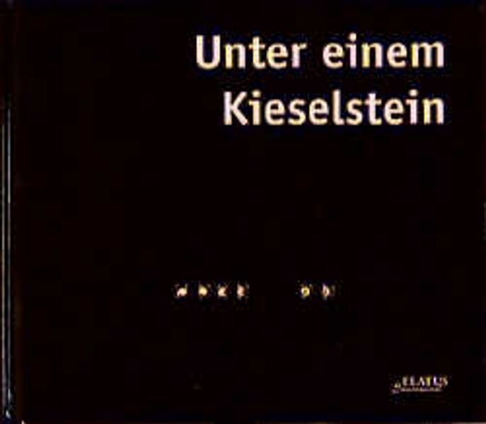 Cover von Unter einem Kieselstein
