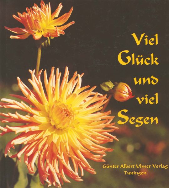 Cover von Viel Glück und viel Segen