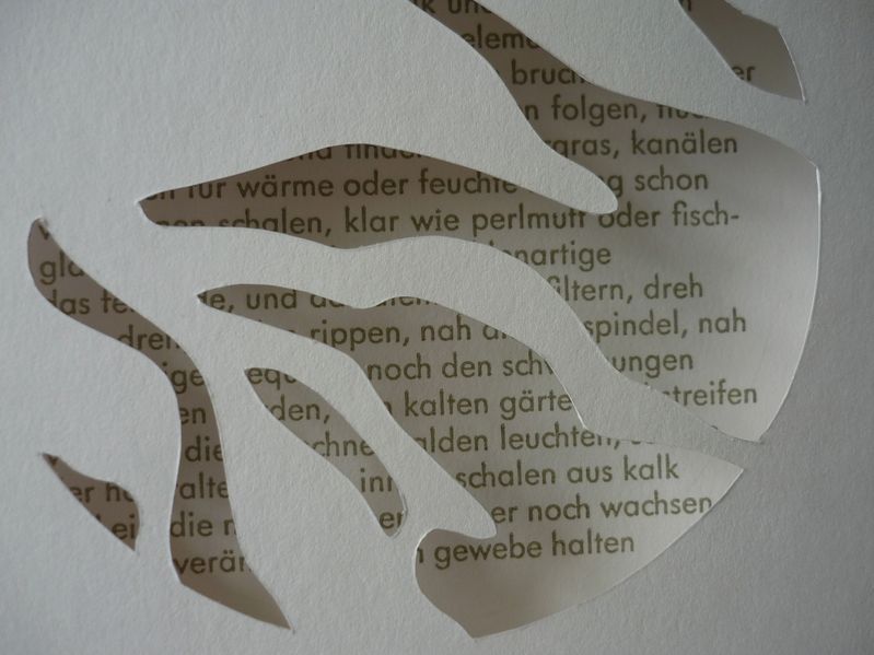 Cover von fischhaare finden