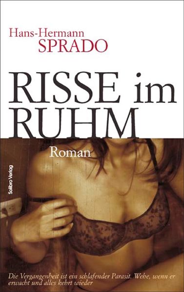 Cover von Risse im Ruhm