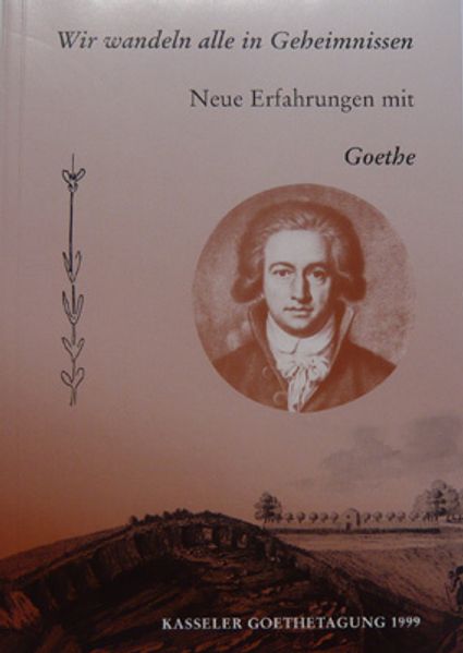 Cover von Wir wandeln alle in Geheimnissen