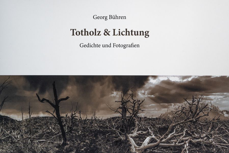 Cover von Totholz & Lichtung