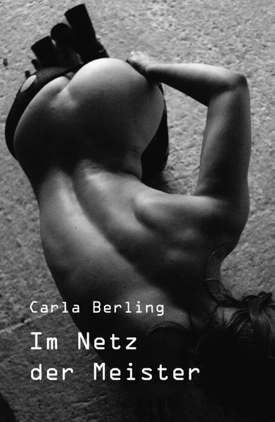 Cover von Im Netz der Meister