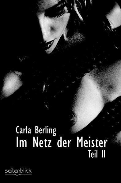 Cover von Im Netz der Meister