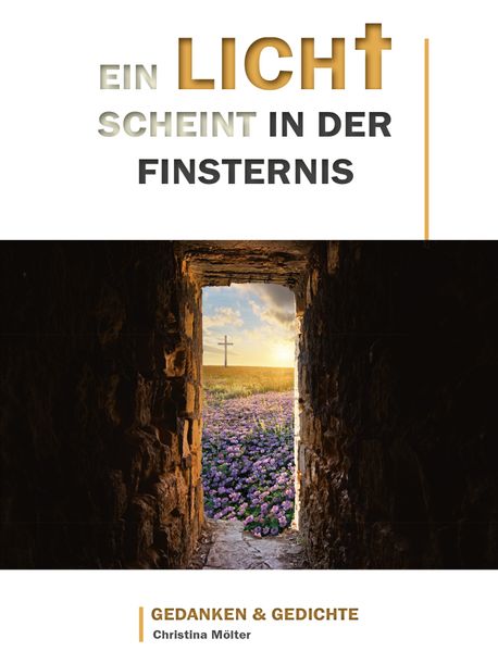 Cover von Ein Licht scheint in der Finsternis