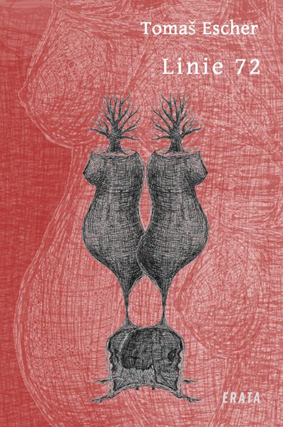 Cover von Linie 72