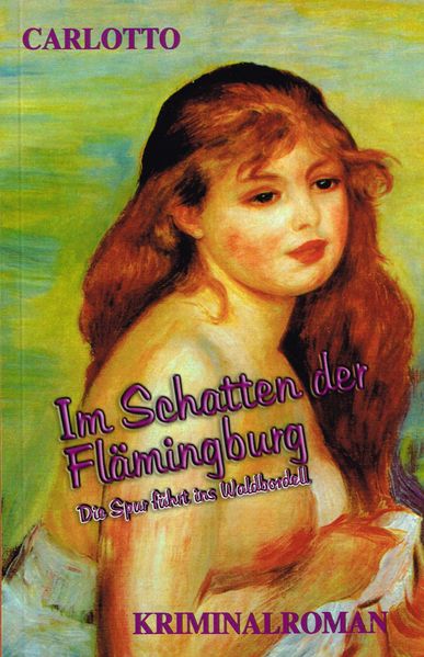 Cover von Im Schatten der Flämingburg
