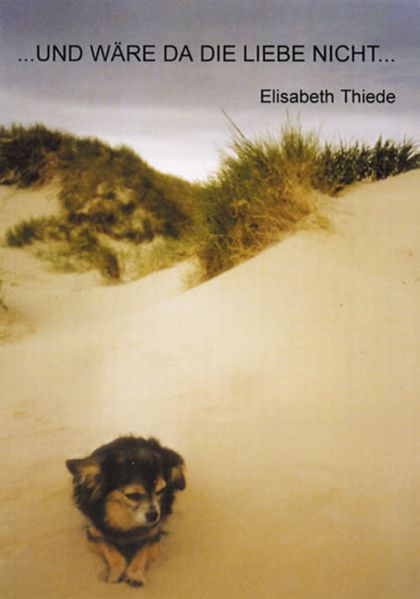 Cover von … und wäre da die Liebe nicht …