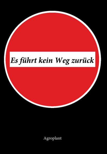 Cover von Es führt kein Weg zurück