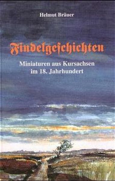 Cover von Findelgeschichten