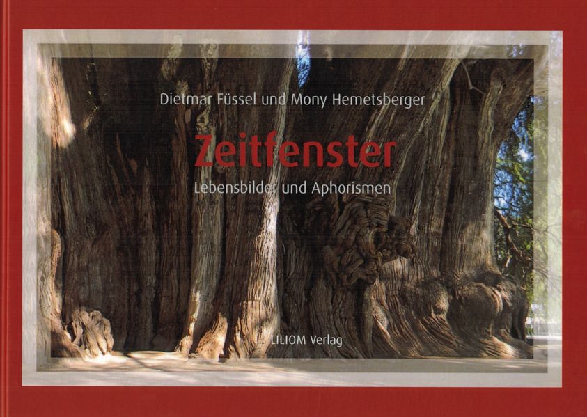 Cover von Zeitfenster