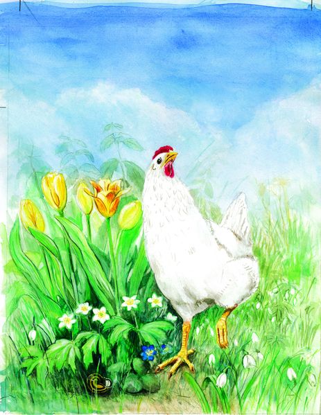 Cover von Wunder mit Huhn