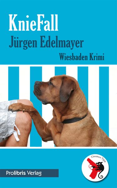Cover von KnieFall