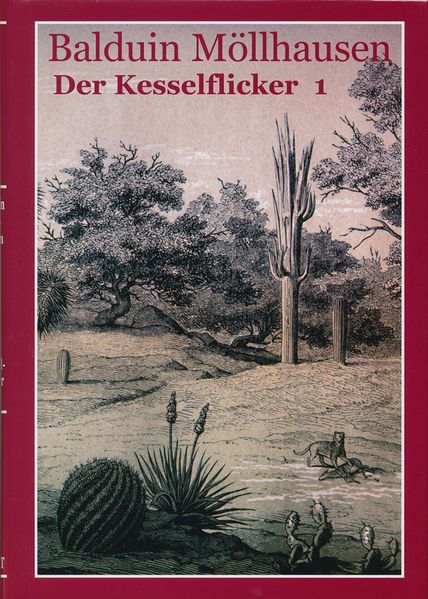 Cover von Der Kesselflicker