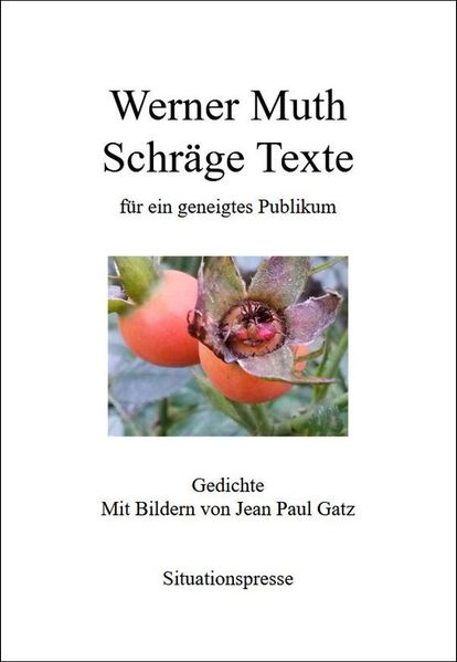Cover von Schräge Texte für ein geneigtes Publikum