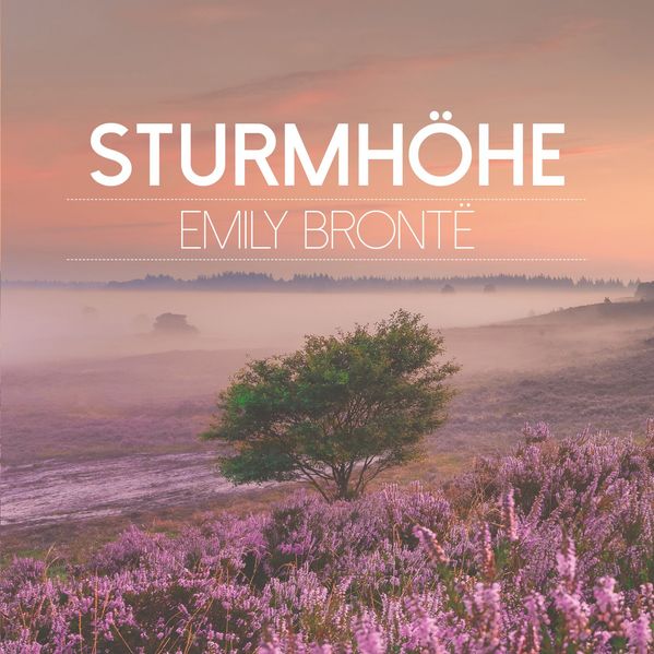 Cover von Sturmhöhe