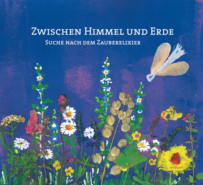 Cover von Zwischen Himmel und Erde