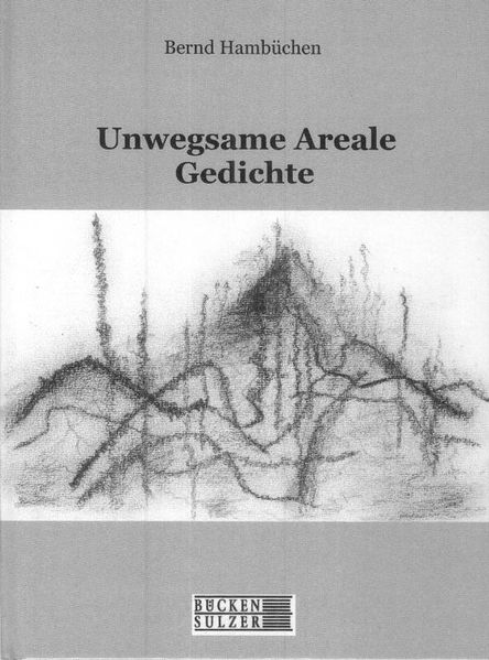 Cover von Unwegsame Areale