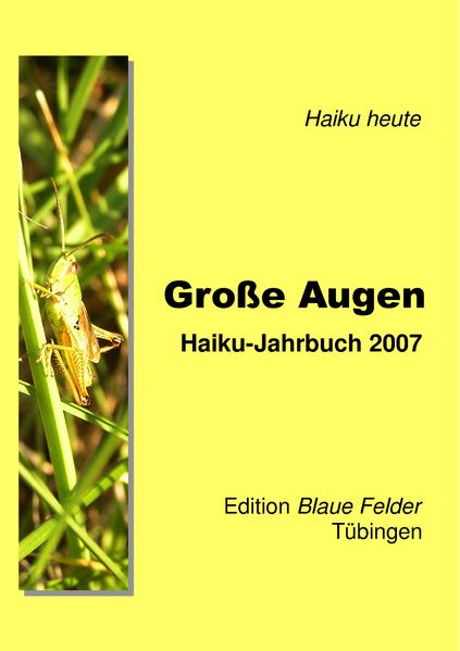 Cover von Große Augen