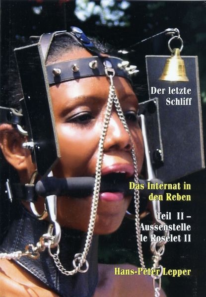 Cover von Der letzte Schliff. Das Internat in den Reben
