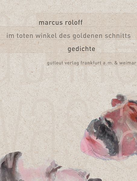 Cover von Im toten Winkel des goldenen Schnitts