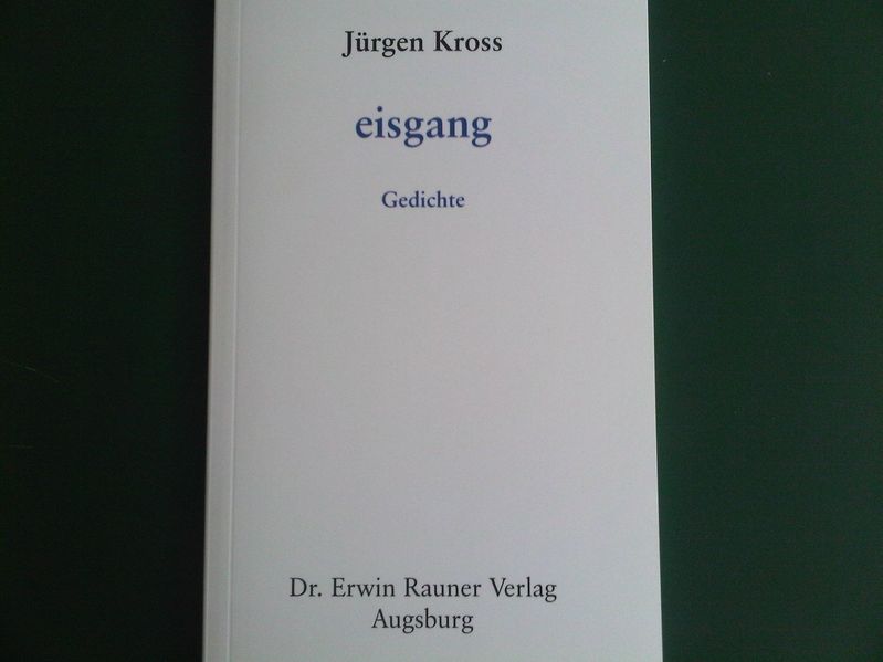 Cover von eisgang