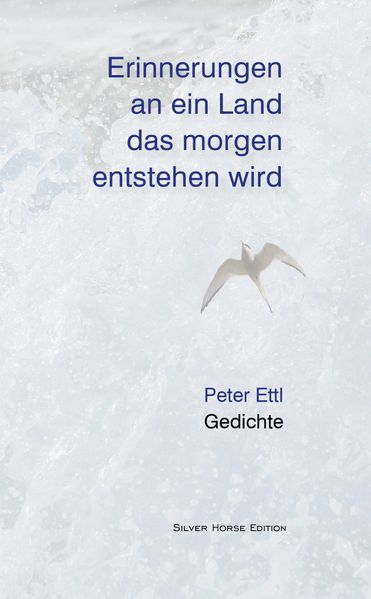 Cover von Erinnerungen an ein Land, das morgen entstehen wird