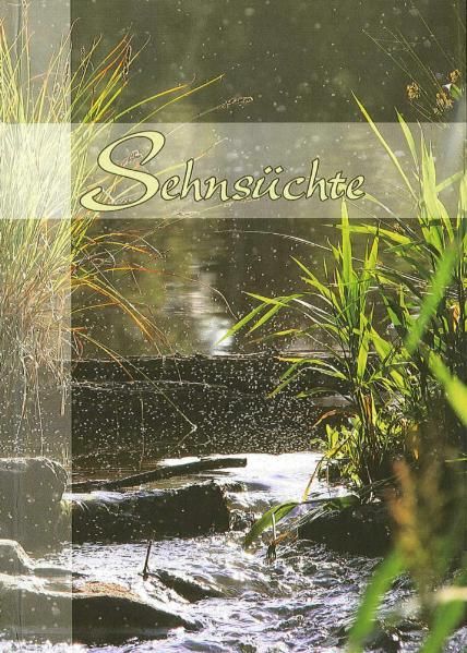 Cover von Sehnsüchte