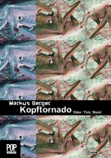 Cover von Kopftornado. Oder: Tick, Stein!