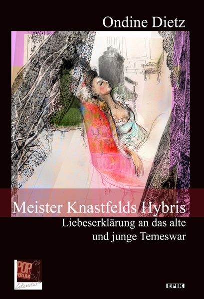 Cover von Meister Knastfelds Hybris.
