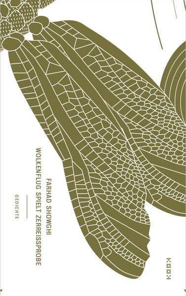 Cover von Wolkenflug spielt Zerreißprobe