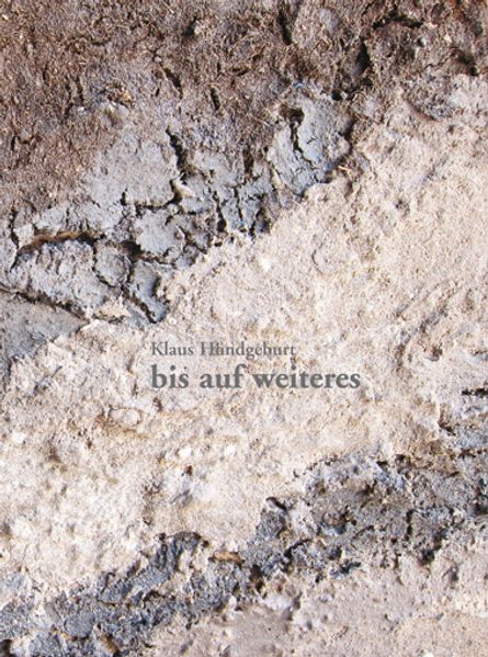 Cover von bis auf weiteres