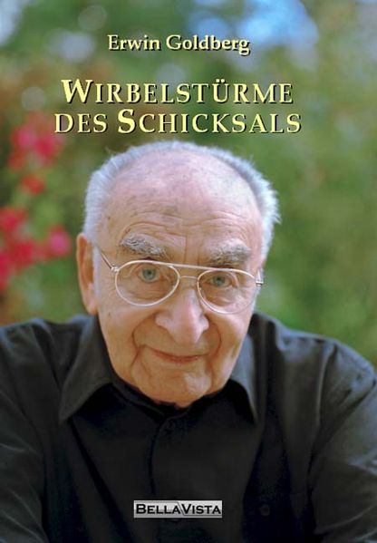 Cover von Wirbelstürme des Schicksals