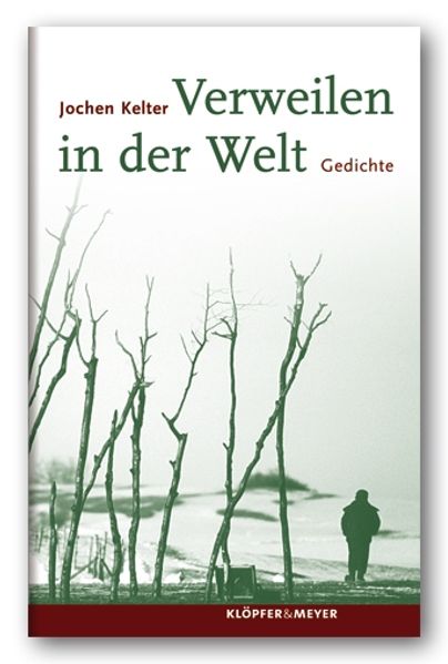 Cover von Verweilen in der Welt