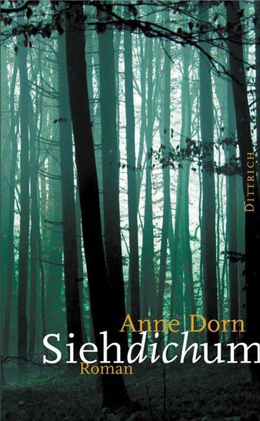Cover von Spiegelungen