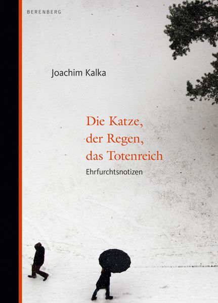 Cover von Die Katze, der Regen, das Totenreich