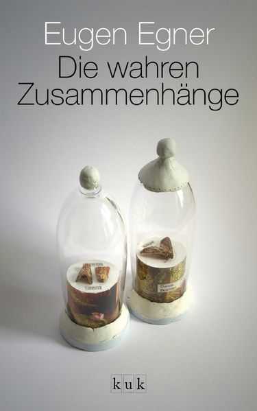 Cover von Die wahren Zusammenhänge