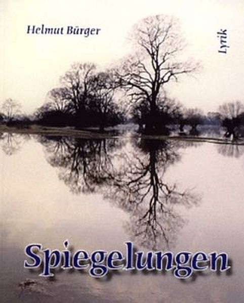 Cover von Spiegelungen