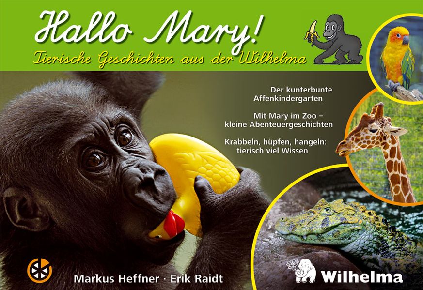 Cover von Hallo Mary